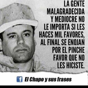 Meet your Posher, Chava